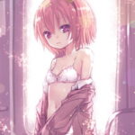 東方Projectのかわいい古明地さとりちゃんが電車内で脱いで露出しちゃってる二次画像