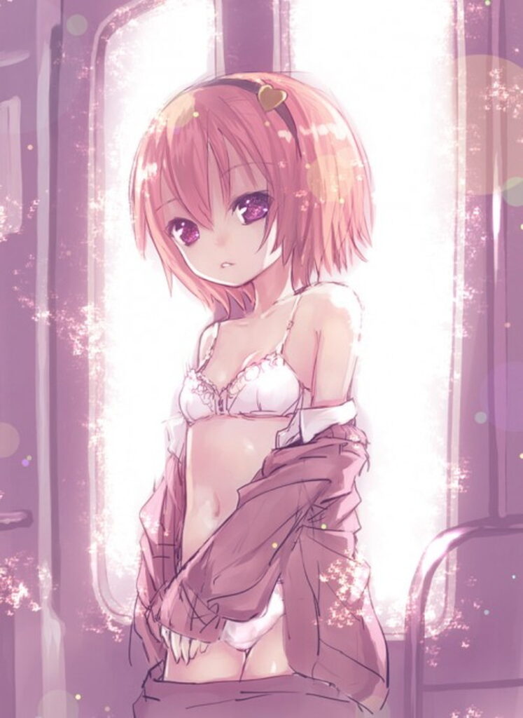 東方Projectのかわいい古明地さとりちゃんが電車内で脱いで露出しちゃってる二次画像